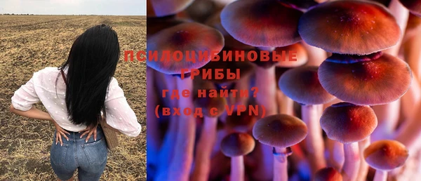 кристаллы Горняк