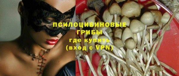 прущая мука Горно-Алтайск