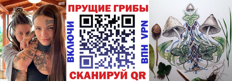Галлюциногенные грибы Psilocybine cubensis  наркотики  Осинники 