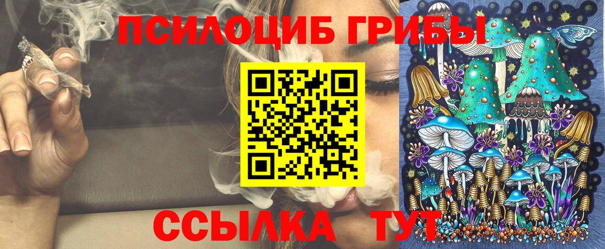 Осинники  Псилоцибиновые грибы Magic Shrooms  Вход с VPN 
